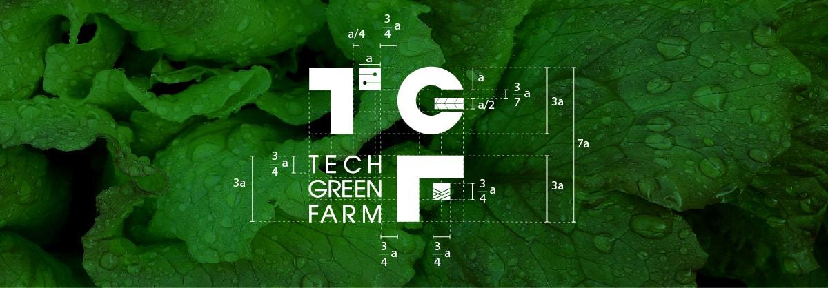 bộ thiết kế thương hiệu công ty Techgreenfarm