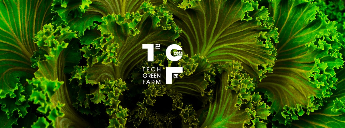 Tư vấn định vị thương hiệu Techgreen Farm nông nghiệp