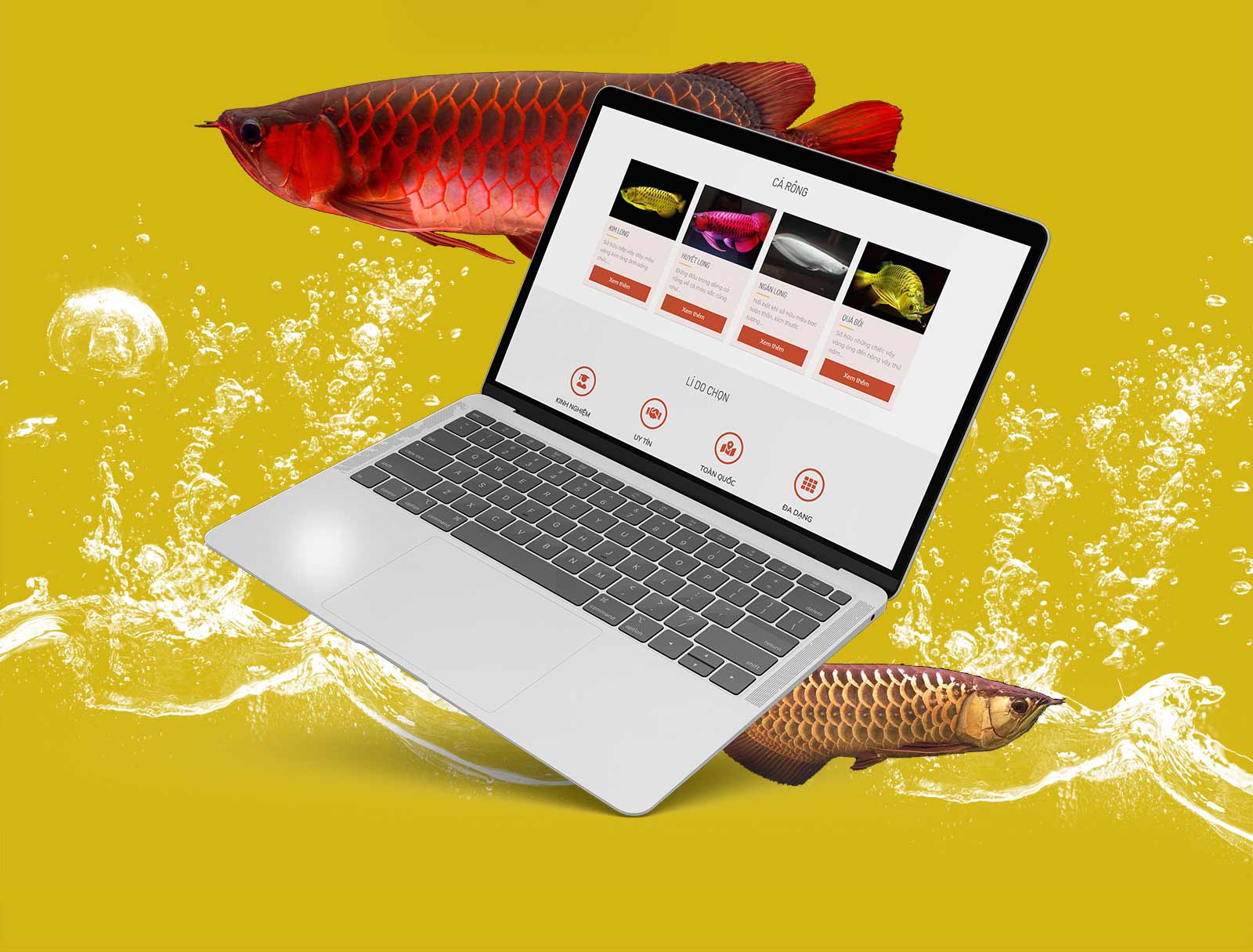 website cá cảnh hồng anh