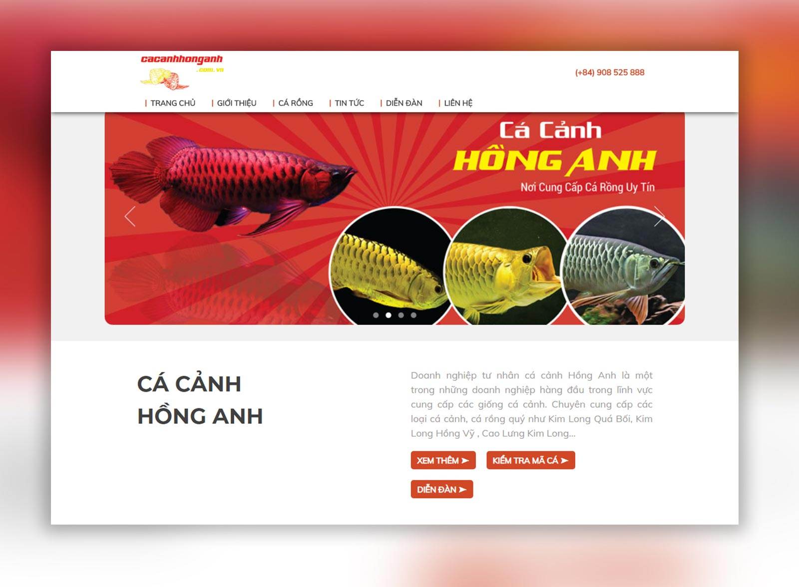 website cá cảnh hồng anh