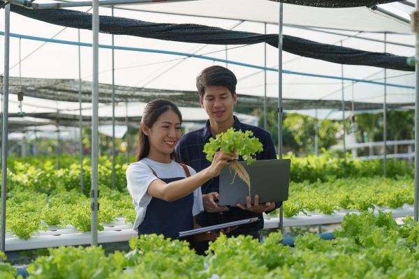 Chiến Lược Phát Triển Nông Nghiệp Công Nghệ Cao