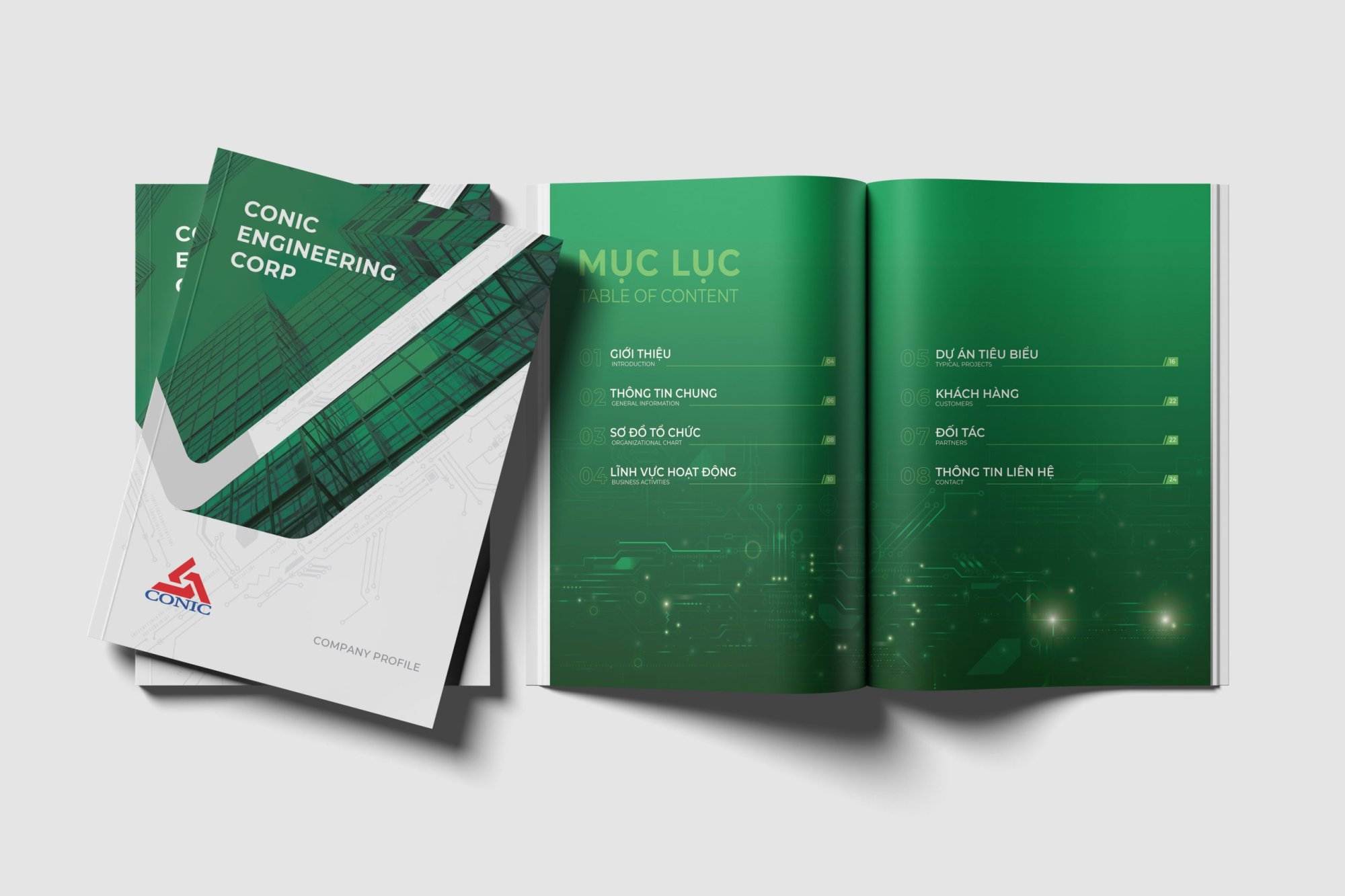 Thiết Kế Profile Song Ngữ: Bí Quyết Chinh Phục Đối Tác Quốc Tế