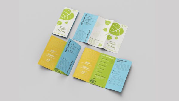 Thiết kế thương hiệu Lâm Tỳ Ni - marketing website